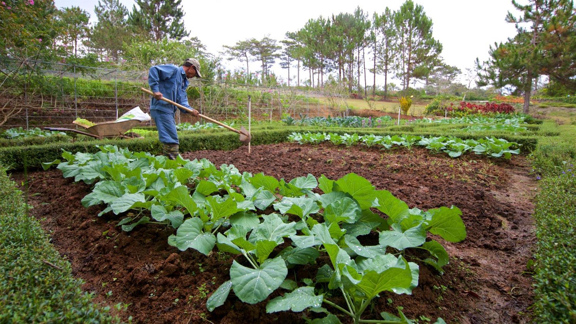 Binh An Village Resort Dalat Bagian luar foto