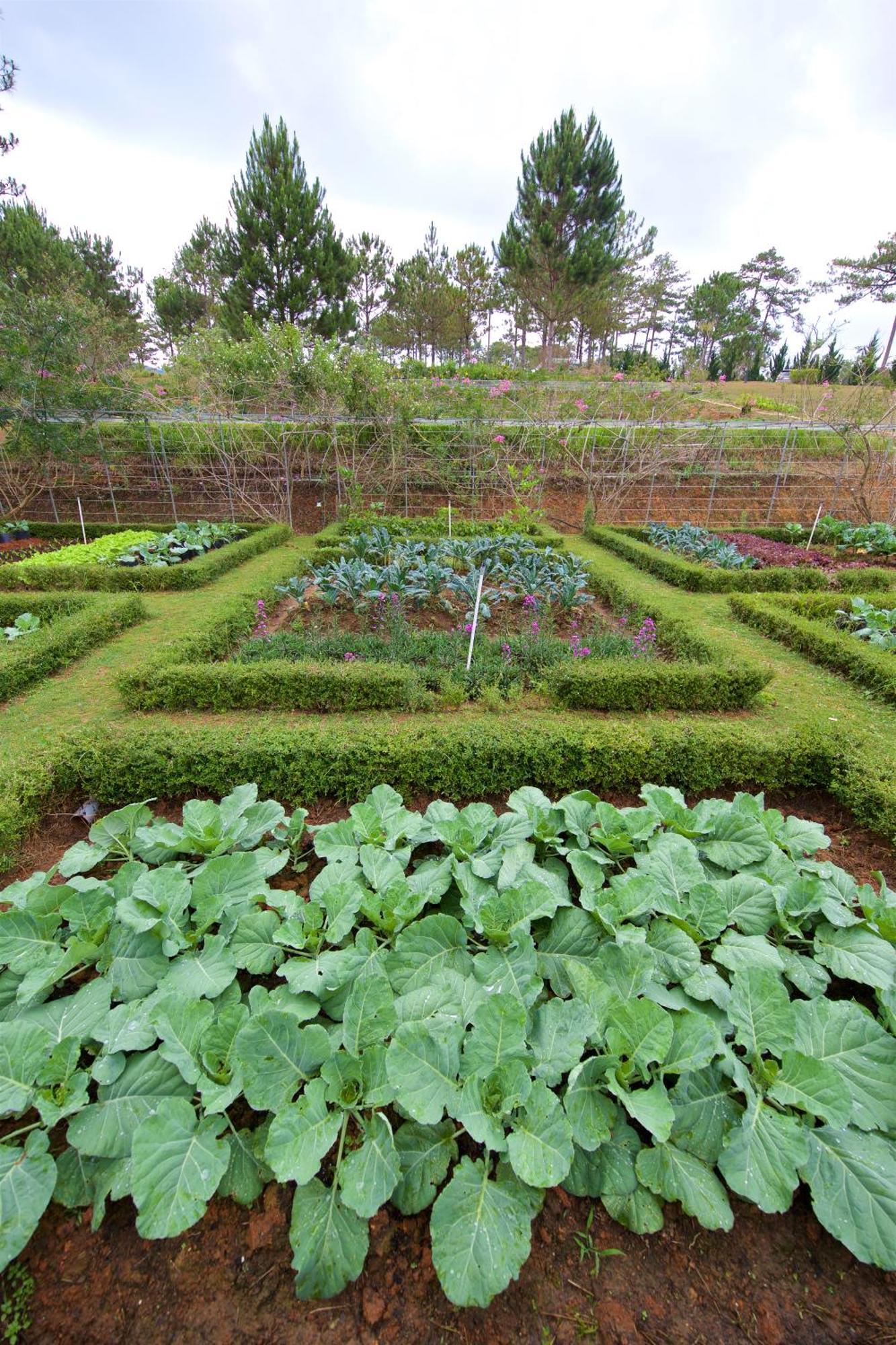Binh An Village Resort Dalat Bagian luar foto